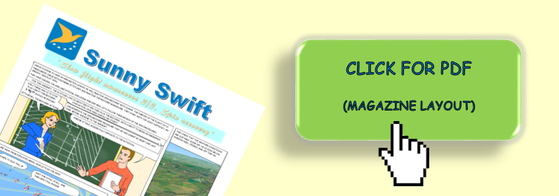 EASA Sunny Swift: Flight Instructor - Issue 27 (EN)
