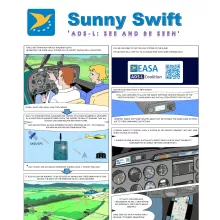 Sunny iConspicuity