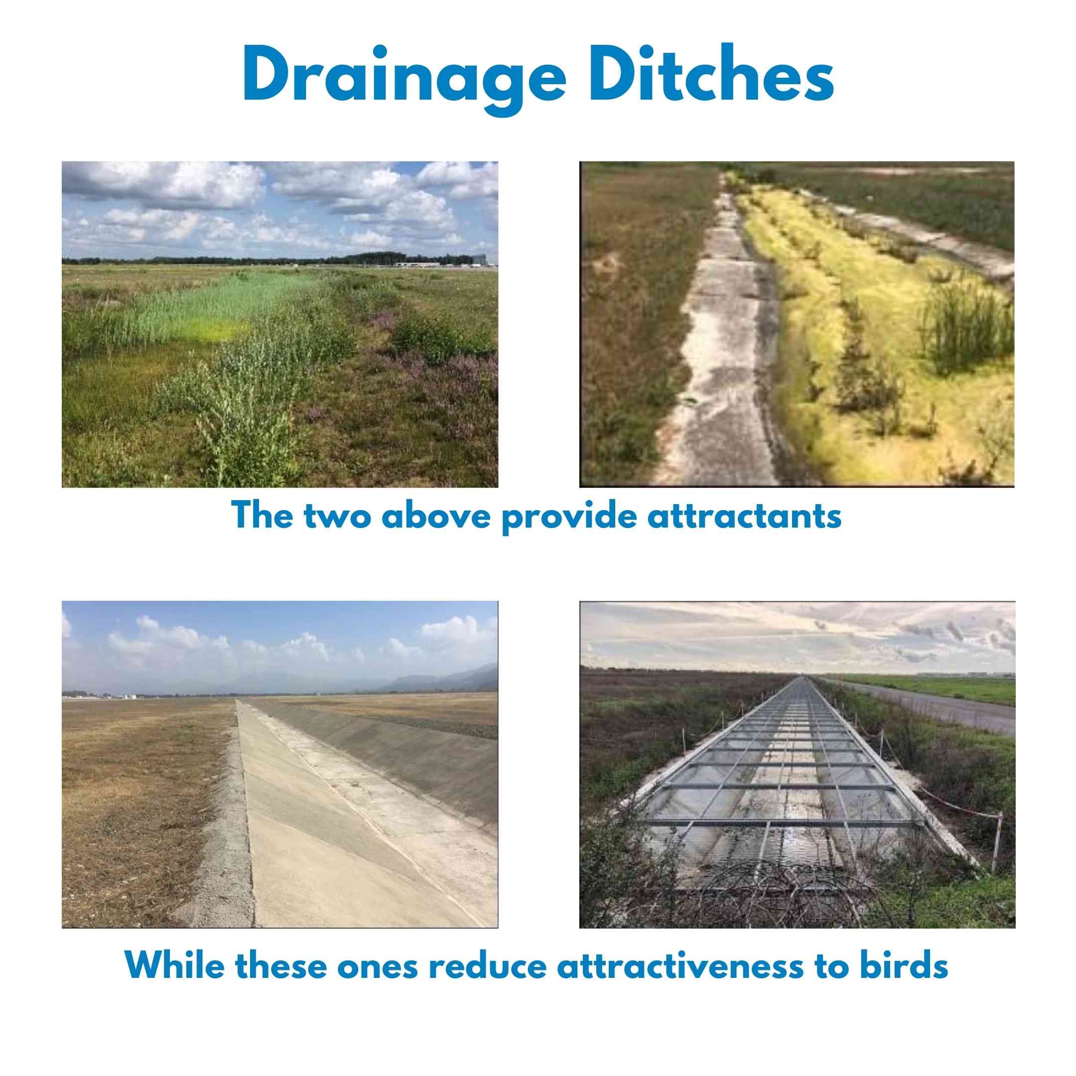 Drainage Ditch