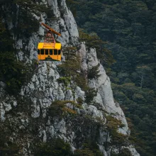 SHA MFH Cable Special 2026