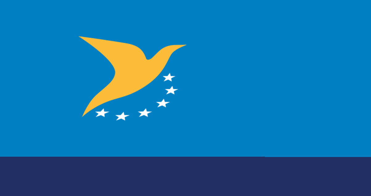 PR-101 - UX11-AG-LE | EASA