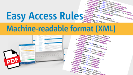 XML format of Easy Access Rules - webinar on how to work with it ...