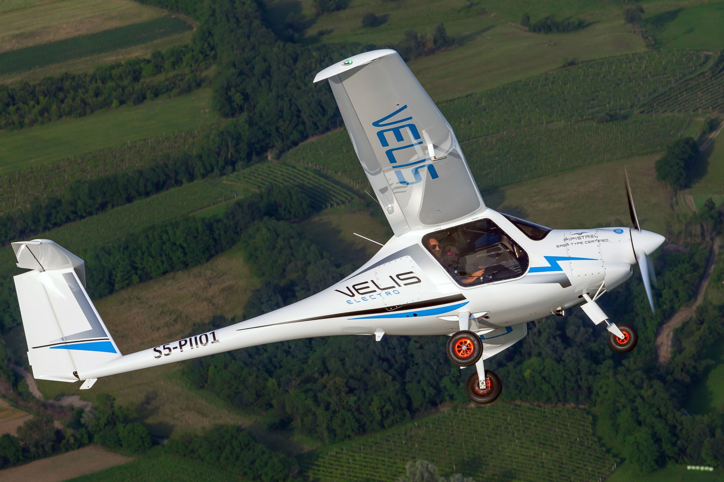 Pipistrel