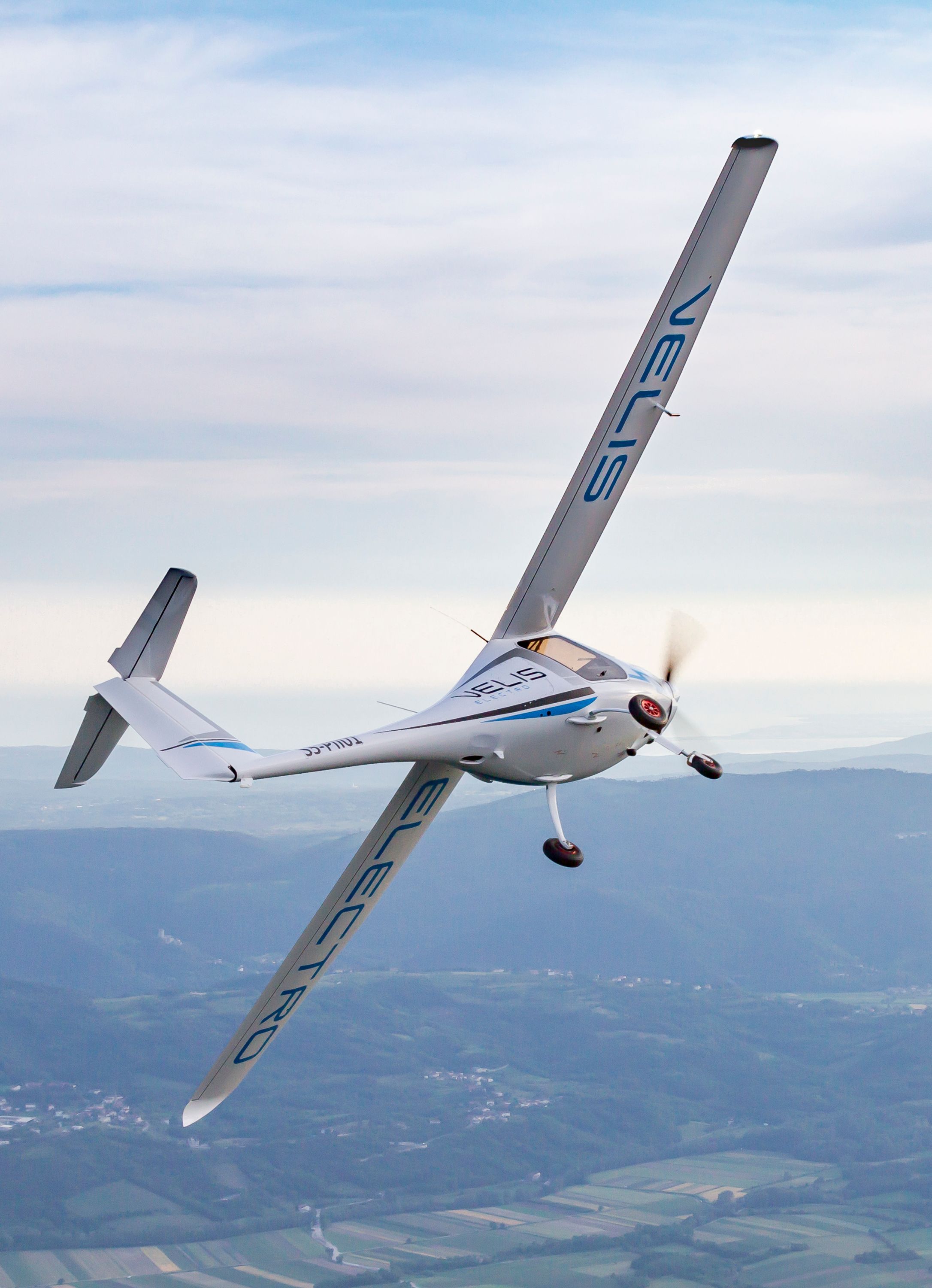 Virus Pipistrel