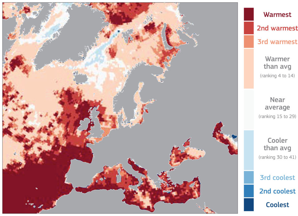 Ranking of annual average sea surface temperature in 2023 [4]