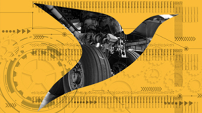 The shape of a bird masks a picture of the wheel of an aircraft. The background is yellow with some gray graphic elements.