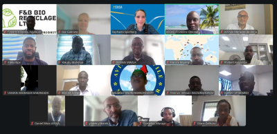 Webinar participants