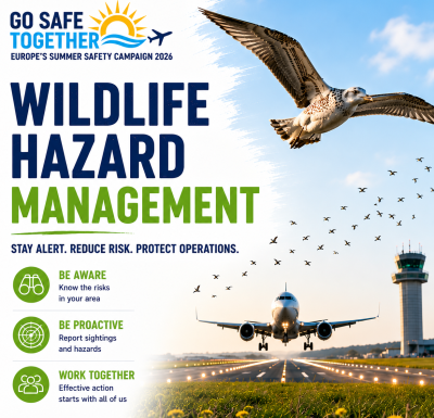 Summer Safety Campaign — Visual