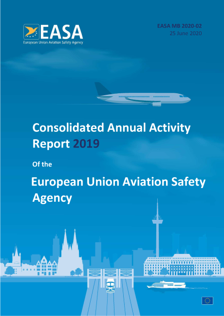 Consolidated Annual Activity Report 2019