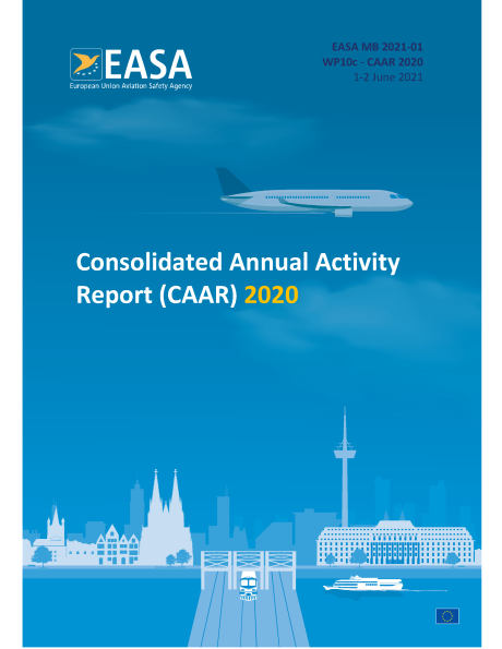 Consolidated Annual Activity Report 2020