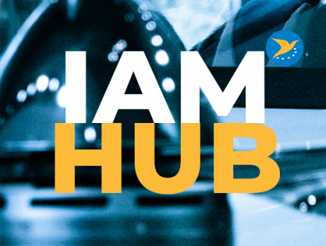 IAM Hub IAM Hub